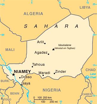 Rebellion in Northern Niger Exacts Large Human, Economic Toll