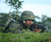 Deep in the Jungle, Ecuador Targets the FARC