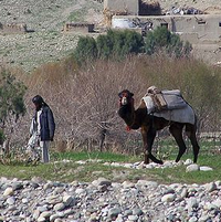 War is Boring: New Afghan Strategy Focuses on Farmers