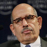 In Egypt, Critical Questions Remain for ElBaradei