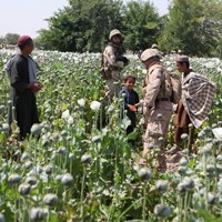 Afghanistan After America: A Surge in Troops, and Poppy Production, in Helmand
