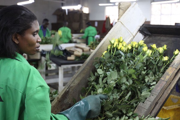 EU Trade Deal Limits EAC’s Options for Future Trade Policy