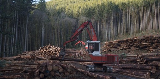 Loggers harvest a section of forest near Youbou, British Columbia, Jan. 14, 2015 (AP photo/The Canadian Press, Jonathan Hayward).