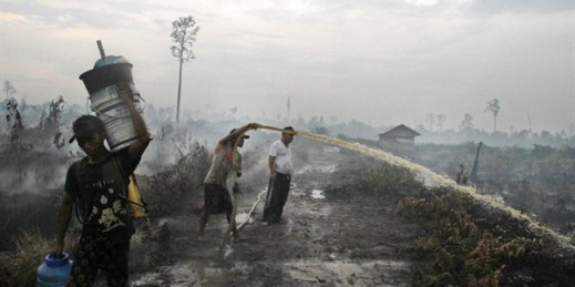 A man sprays water in an attempt to extinguish bush fires on a peat land, Siak, Indonesia, March 17, 2014 (AP photo by Rony Muharrman).