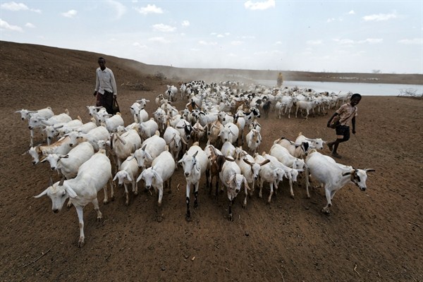 A herder drives his animals away after watering them at one of the few watering holes near the drought-affected village of Bandarero, Kenya, March 3, 2017 (AP photo by Ben Curtis).