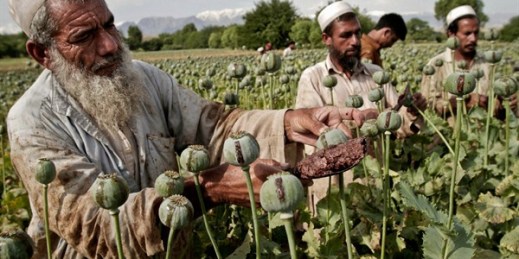 Afghan farmers collect raw opium as they work in a poppy field in the Khogyani district of Jalalabad, east of Kabul, Afghanistan, May 10, 2013 (AP photo by Rahmat Gul).