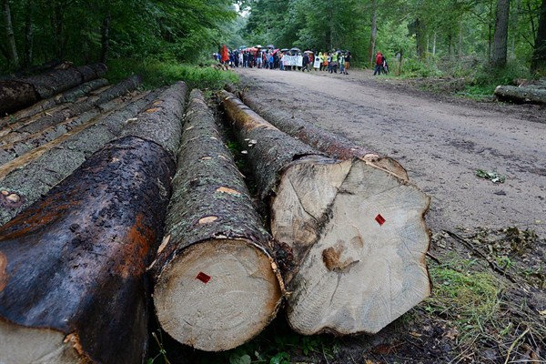 People take part in a protest against large-scale government logging in the Bialowieza Forest, Poland, Aug. 13, 2017 (AP photo by Czarek Sokolowski).