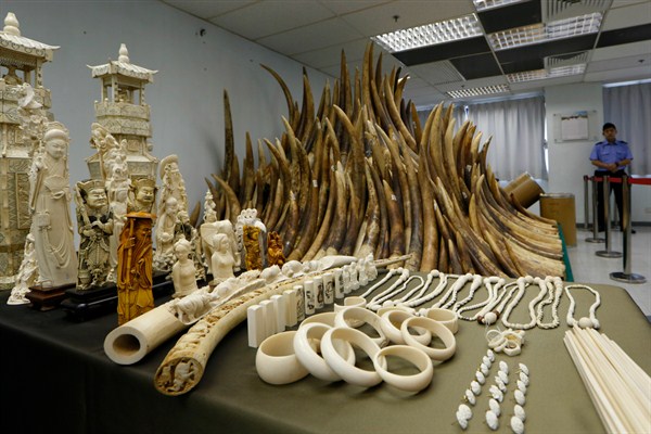 China Makes Good on Its Pledge to Curb Elephant Poaching With Ivory Trade Ban