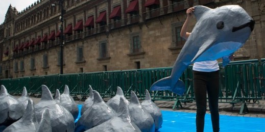 A young woman with the World Wildlife Fund carries a paper mache replica of the critically endangered porpoise known as the vaquita marina, Mexico City, July 8, 2017 (AP photo by Rebecca Blackwell).