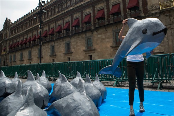 A young woman with the World Wildlife Fund carries a paper mache replica of the critically endangered porpoise known as the vaquita marina, Mexico City, July 8, 2017 (AP photo by Rebecca Blackwell).