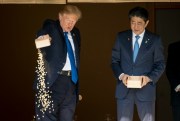 U.S. President Donald Trump pours the remainder of his fish food into a koi pond at the Akasaka Palace as Japanese Prime Minister Shinzo Abe looks on, Tokyo, Nov. 6, 2017 (AP photo by Andrew Harnik).