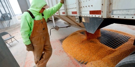 Location manager Lee Erwin unloads corn from a trailer at the Heartland Co-op in Redfield, Iowa, April 5, 2018 (AP photo by Charlie Neibergall).