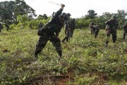 Soldiers destroy illegal coca plants with machetes during a government-organized media trip to the Villa Nueva community of Chimore, Bolivia, Feb. 26, 2016 (AP photo by Juan Karita).