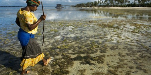 A local woman harvesting seaweed and mollusks during low tide, Zanzibar, Tanzania, Jan. 10, 2018 (Photo by Sergi Reboredo for DPA via AP Images).