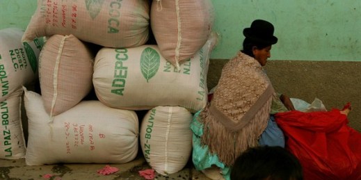 A Bolivian coca leaf producer packs 50-pound bags of the dried plant to be sold and delivered to traditional market retailers, La Paz, Bolivia, March 28, 2006 (AP photo by Dado Galdieri).