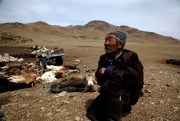 A herder rests near a pile of dead livestock in the Zuunbayan-Ulaan soum in Mongolia, May 12, 2010 (AP photo by Ng Han Guan).