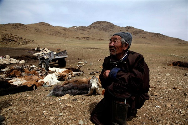 A herder rests near a pile of dead livestock in the Zuunbayan-Ulaan soum in Mongolia, May 12, 2010 (AP photo by Ng Han Guan).