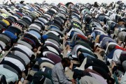 Muslims pray at Hagley Park in Christchurch, New Zealand, March 22, 2019 (AP photo by Mark Baker).
