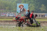 Farmers transplant rice seedlings in a field in Chongsan-ri, Kangso district, Nampho, North Korea, May 12, 2019 (AP photo by Cha Song Ho).