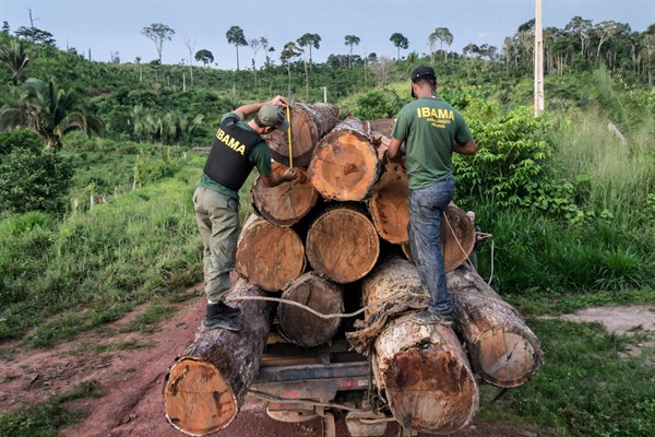 Agents from IBAMA measure illegally cut timber from Cachoeira Seca indigenous land in Para state, in Brazil’s Amazon basin, March 10, 2018 (Photo by Vinicius Mendonza for IBAMA via AP Images).