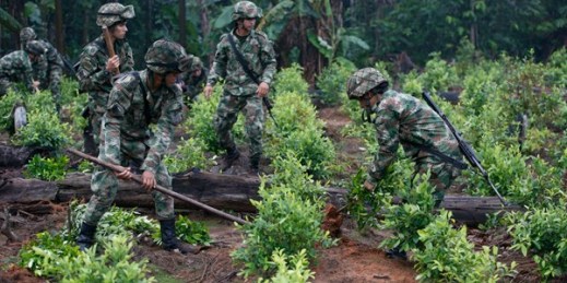 Soldiers uproot coca shrubs as part of a manual eradication operation in San Jose del Guaviare, Colombia, March 22, 2019 (AP photo by Fernando Vergara).