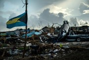 The national flag of the Bahamas tied to a sapling, amid the rubble left by Hurricane Dorian in Abaco, Bahamas, Sept. 16, 2019 (AP photo by Ramon Espinosa).