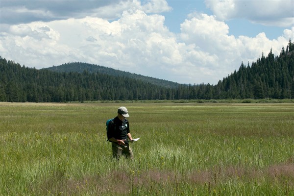 A Nature Conservancy staff member walks through land purchased by conservation groups in the Lower Carpenter Valley near Truckee, Calif., July 25, 2017 (AP photo by Rich Pedroncelli).