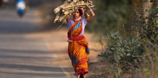A woman carries firewood on the outskirts of Gauhati, India, Feb. 1, 2019 (AP photo by Anupam Nath).