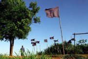 A farmer walks near black flags representing 11 landless farmers who were killed during clashes with police over a land dispute in Curuguaty, Paraguay, Nov. 13, 2012 (AP photo by Jorge Saenz).