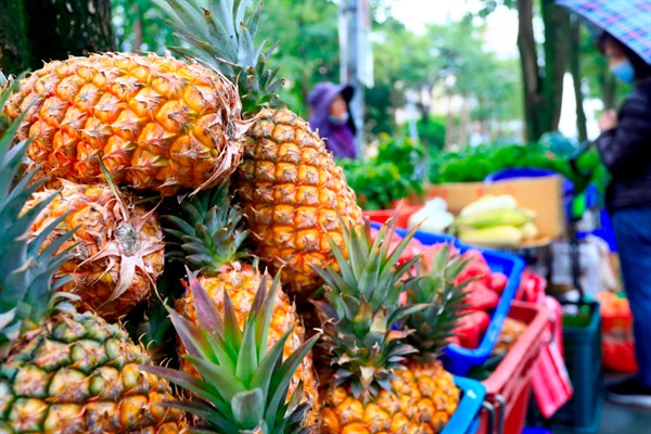 A hawker selling pineapples in Taipei, Taiwan, Feb. 27, 2021 (Photo by Ceng Shou Yi for NurPhoto via AP Images).