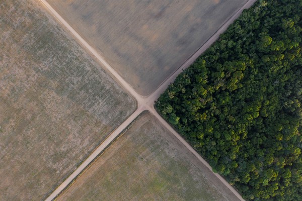 A section of the Amazon rainforest stands next to soy fields in Belterra, Para state, Brazil, Nov. 30, 2019 (AP photo by Leo Correa).