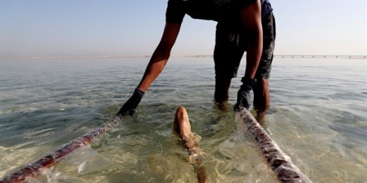 A baby Arabian carpet shark is released into Persian Gulf waters during a conservation project at the Jebel Ali Wildlife Sanctuary, in Dubai, United Arab Emirates, April 22, 2021 (AP photo by Kamran Jebreili).