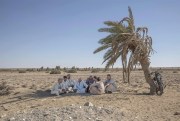 Egyptian farmer Makhluf Abu Kassem, center, sits with farmers under the shade of a dried-up palm tree in Fayoum, Egypt, Aug. 5, 2020 (AP photo by Nariman El-Mofty).