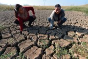 Farmers in a drought-stricken field in Changfeng county, Hefei city, Anhui province, China, Oct. 20, 2019 (Imaginechina via AP Images).