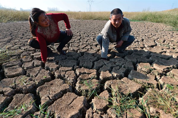 Farmers in a drought-stricken field in Changfeng county, Hefei city, Anhui province, China, Oct. 20, 2019 (Imaginechina via AP Images).