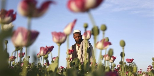 An Afghan man walks through a poppy field in the Surkhroad district of Jalalabad, east of Kabul, Afghanistan, April 14, 2017 (AP photo by Rahmat Gul).