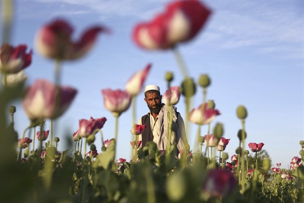 The Taliban Will Have Trouble Reining in Afghanistan’s Opium Economy