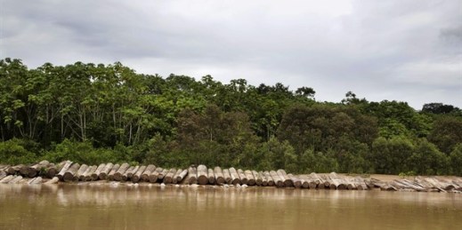 Illegally cut logs lay on the bank of the Putaya River between the Ashaninka Indigenous communities of Saweto and Puerto Putaya, Peru, March 17, 2015 (AP photo by Martin Mejia).