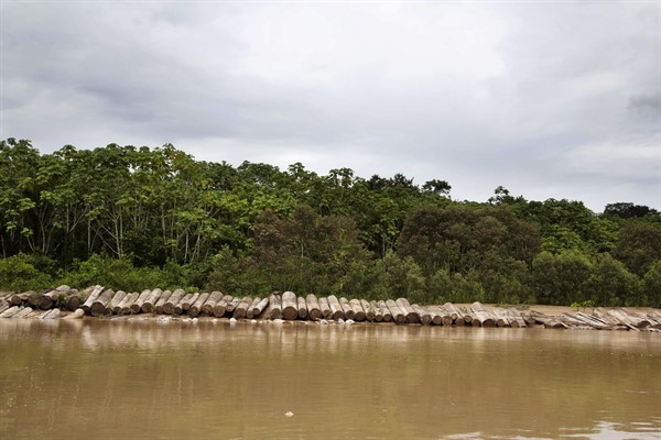 Illegally cut logs lay on the bank of the Putaya River between the Ashaninka Indigenous communities of Saweto and Puerto Putaya, Peru, March 17, 2015 (AP photo by Martin Mejia).
