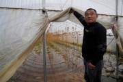 A man lifts a tarp to show a flood inside his covered farm in Zhaoguo village in central China’s Henan province, Oct. 22, 2021 (AP photo by Ng Han Guan).