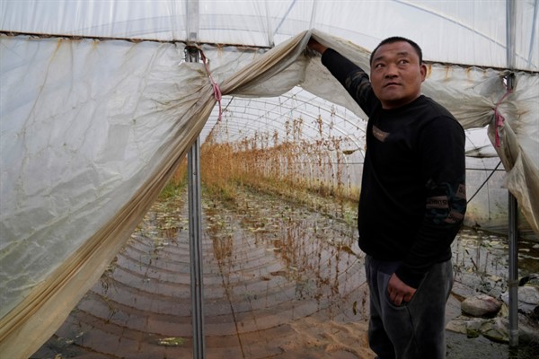 A man lifts a tarp to show a flood inside his covered farm in Zhaoguo village in central China’s Henan province, Oct. 22, 2021 (AP photo by Ng Han Guan).