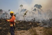 A firefighter checks his GPS device as fire consumes land deforested by cattle farmers near Novo Progresso, Para state, Brazil.