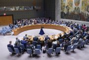 The UNSC amid calls for reform