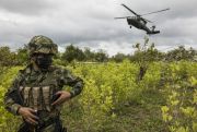 A soldier in a coca field as part of the war on drugs in Colombia