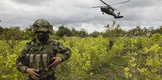 A soldier in a coca field as part of the war on drugs in Colombia