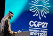 The President of the UAE, a country in the Middle East, discussing climate change at COP27