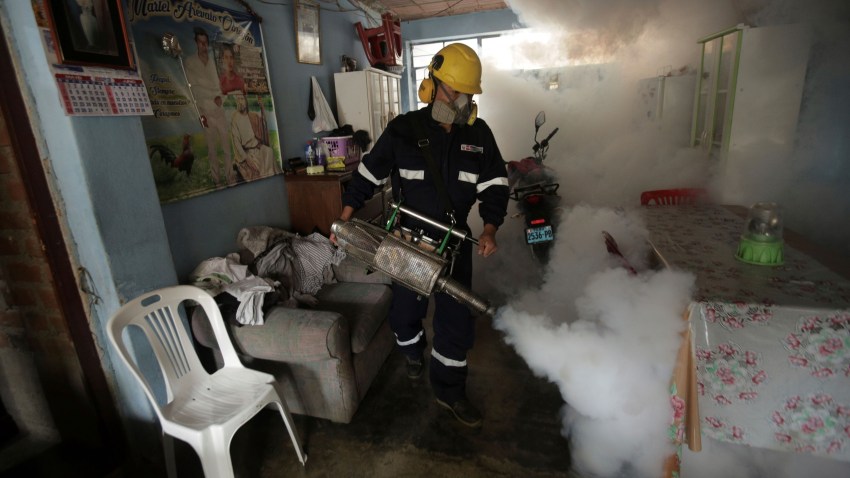 Peru’s Political Crisis Is Hobbling Its Dengue Outbreak Response
