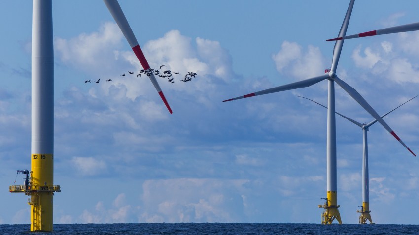 Offshore Wind Energy Need Not Come at the Cost of Marine Biodiversity